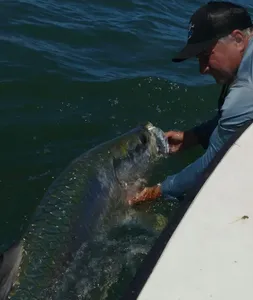 Tarpon Fishing, FL